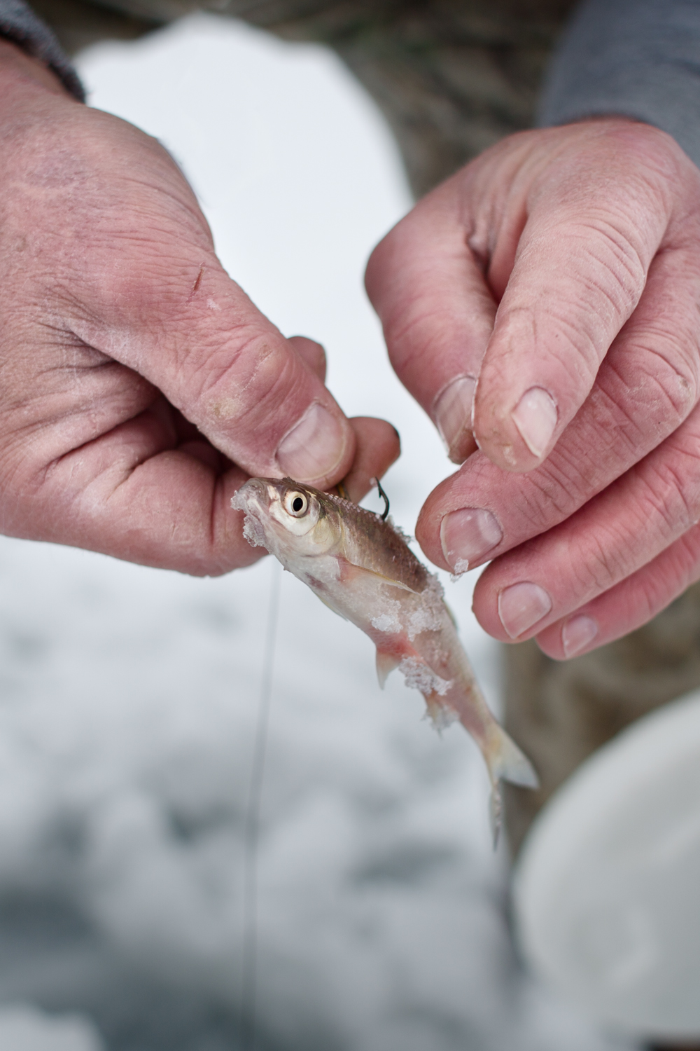 close-up-photo-of-fishing-bait